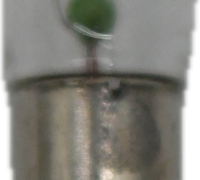 Micro Sign Lamp